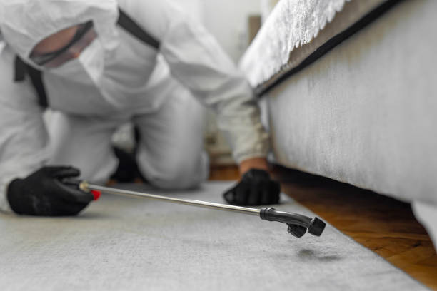Professional Cockroach Control technician working in Baltimore, MD